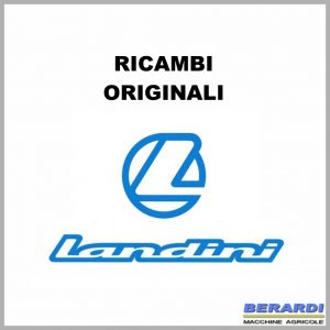 RICAMBI ORIGINALI LANDINI